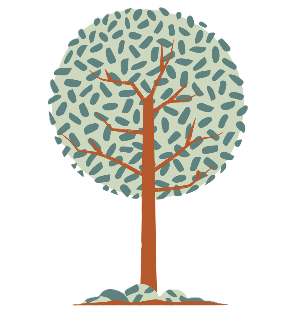 Future Outlook Image